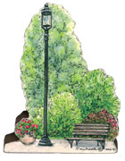 lamp-post-tree-bench-flower.jpg